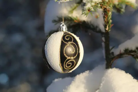 Black and white swirl ornament
