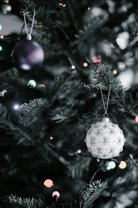 White beaded ornament on a dark tree